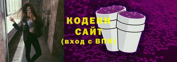 соль ск Пересвет