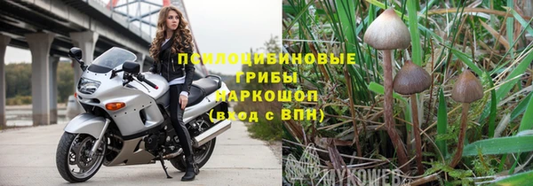 марки lsd Переславль-Залесский