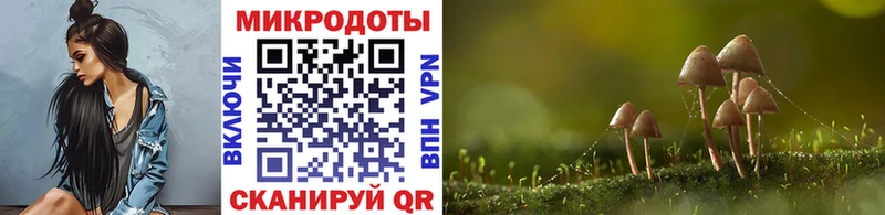 Галлюциногенные грибы GOLDEN TEACHER Никольск